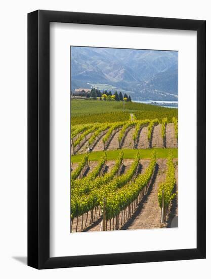 Benson Vineyards Estate Winery, Lake Chelan, Washington, USA-Richard Duval-Framed Photographic Print