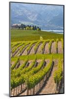 Benson Vineyards Estate Winery, Lake Chelan, Washington, USA-Richard Duval-Mounted Photographic Print