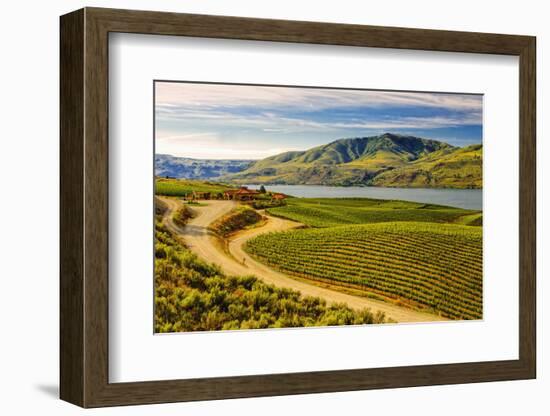 Benson Vineyards Estate Winery, Lake Chelan, Washington, USA-Richard Duval-Framed Photographic Print