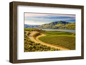 Benson Vineyards Estate Winery, Lake Chelan, Washington, USA-Richard Duval-Framed Photographic Print