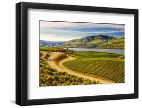 Benson Vineyards Estate Winery, Lake Chelan, Washington, USA-Richard Duval-Framed Photographic Print