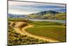 Benson Vineyards Estate Winery, Lake Chelan, Washington, USA-Richard Duval-Mounted Photographic Print