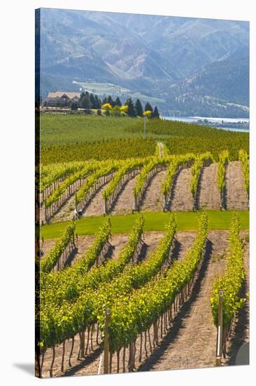 Benson Vineyards Estate Winery, Lake Chelan, Washington, USA-Richard Duval-Stretched Canvas