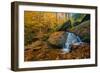 Bent Run Rushes Past Fall Foliage on its Way to the Allegheny River, Warren Co., Pa-Robert K. Olejniczak-Framed Photographic Print