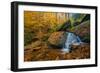 Bent Run Rushes Past Fall Foliage on its Way to the Allegheny River, Warren Co., Pa-Robert K. Olejniczak-Framed Photographic Print