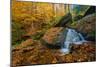 Bent Run Rushes Past Fall Foliage on its Way to the Allegheny River, Warren Co., Pa-Robert K. Olejniczak-Mounted Photographic Print