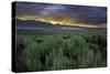 Benton Crossing II-Mark Geistweite-Stretched Canvas