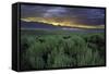 Benton Crossing II-Mark Geistweite-Framed Stretched Canvas