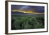 Benton Crossing II-Mark Geistweite-Framed Photographic Print