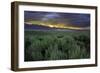 Benton Crossing II-Mark Geistweite-Framed Photographic Print