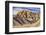 Bentonite Hills, Capitol Reef, Utah-John Ford-Framed Photographic Print