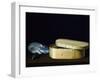 Bentwood Box and Nautilus Shell-Sebastian Stosskopf-Framed Giclee Print