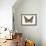 Bentwood Butterfly-Matt James-Framed Art Print displayed on a wall