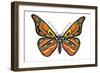 Bentwood Butterfly-Matt James-Framed Art Print