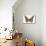 Bentwood Butterfly-Matt James-Mounted Art Print displayed on a wall