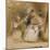 Benvenuto Cellini (1500-71) and Pope Paul II (1468-1579)-Sir David Wilkie-Mounted Giclee Print