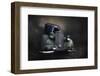 Benz-holger droste-Framed Photographic Print