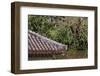 Benzaiten Temple in the Enkan Lake, Just Below the Famous Shuri Castle, Naha, Okinawa, Japan-Paul Dymond-Framed Photographic Print