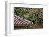 Benzaiten Temple in the Enkan Lake, Just Below the Famous Shuri Castle, Naha, Okinawa, Japan-Paul Dymond-Framed Photographic Print