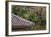 Benzaiten Temple in the Enkan Lake, Just Below the Famous Shuri Castle, Naha, Okinawa, Japan-Paul Dymond-Framed Photographic Print