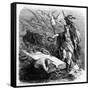 Beranger (His Tomb)-Emile Bayard-Framed Stretched Canvas