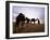 Berber Camel Leader with Three Camels in Erg Chebbi Sand Sea, Sahara Desert, Near Merzouga, Morocco-Lee Frost-Framed Photographic Print