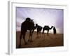 Berber Camel Leader with Three Camels in Erg Chebbi Sand Sea, Sahara Desert, Near Merzouga, Morocco-Lee Frost-Framed Photographic Print