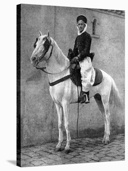 Berber Horseman of the French Army, 1936-Donald Mcleish-Stretched Canvas