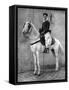 Berber Horseman of the French Army, 1936-Donald Mcleish-Framed Stretched Canvas