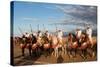 Berber Horsemen Lined Up for a Fantasia, Dades Valley, Morocco-null-Stretched Canvas