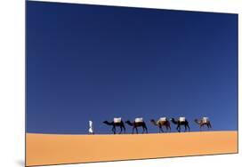 Berber Man Leading a Train of Camels over the Orange Sand Dunes of the Erg Chebbi Sand Sea-Lee Frost-Mounted Photographic Print