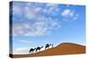 Berber Man Leading a Train of Camels over the Orange Sand Dunes of the Erg Chebbi Sand Sea-Lee Frost-Stretched Canvas