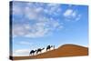 Berber Man Leading a Train of Camels over the Orange Sand Dunes of the Erg Chebbi Sand Sea-Lee Frost-Stretched Canvas