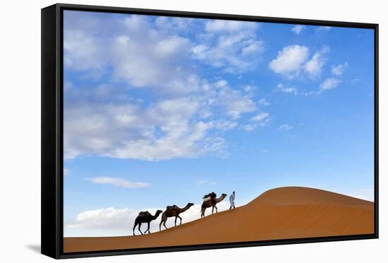 Berber Man Leading a Train of Camels over the Orange Sand Dunes of the Erg Chebbi Sand Sea-Lee Frost-Framed Stretched Canvas