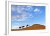 Berber Man Leading a Train of Camels over the Orange Sand Dunes of the Erg Chebbi Sand Sea-Lee Frost-Framed Photographic Print