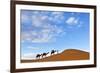 Berber Man Leading a Train of Camels over the Orange Sand Dunes of the Erg Chebbi Sand Sea-Lee Frost-Framed Photographic Print