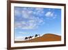 Berber Man Leading a Train of Camels over the Orange Sand Dunes of the Erg Chebbi Sand Sea-Lee Frost-Framed Photographic Print