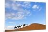 Berber Man Leading a Train of Camels over the Orange Sand Dunes of the Erg Chebbi Sand Sea-Lee Frost-Mounted Photographic Print