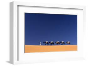 Berber Man Leading a Train of Camels over the Orange Sand Dunes of the Erg Chebbi Sand Sea-Lee Frost-Framed Photographic Print