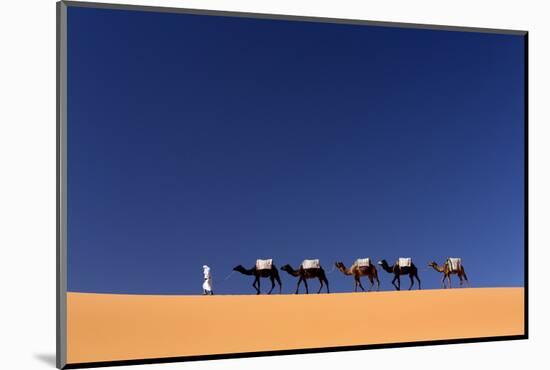 Berber Man Leading a Train of Camels over the Orange Sand Dunes of the Erg Chebbi Sand Sea-Lee Frost-Mounted Photographic Print