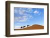 Berber Man Leading a Train of Camels over the Orange Sand Dunes of the Erg Chebbi Sand Sea-Lee Frost-Framed Photographic Print