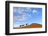 Berber Man Leading a Train of Camels over the Orange Sand Dunes of the Erg Chebbi Sand Sea-Lee Frost-Framed Photographic Print