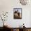 Berber Man Standing with His Camel, Erg Chebbi, Sahara Desert, Merzouga, Morocco, North Africa-Gavin Hellier-Framed Stretched Canvas displayed on a wall