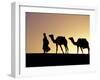 Berber Tribesman Leads His Two Camels Along the Top of Sand Dune in the Erg Chegaga, in the Sahara -Mark Hannaford-Framed Photographic Print