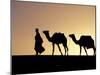 Berber Tribesman Leads His Two Camels Along the Top of Sand Dune in the Erg Chegaga, in the Sahara -Mark Hannaford-Mounted Photographic Print