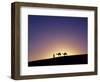 Berber Tribesman Leads His Two Camels Along the Top of Sand Dune in the Erg Chegaga, in the Sahara -Mark Hannaford-Framed Photographic Print
