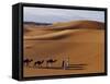 Berber Tribesmen Lead their Camels Through the Sand Dunes of the Erg Chegaga, in the Sahara Region -Mark Hannaford-Framed Stretched Canvas