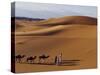 Berber Tribesmen Lead their Camels Through the Sand Dunes of the Erg Chegaga, in the Sahara Region -Mark Hannaford-Stretched Canvas