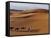 Berber Tribesmen Lead their Camels Through the Sand Dunes of the Erg Chegaga, in the Sahara Region -Mark Hannaford-Framed Stretched Canvas