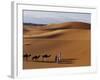 Berber Tribesmen Lead their Camels Through the Sand Dunes of the Erg Chegaga, in the Sahara Region -Mark Hannaford-Framed Photographic Print